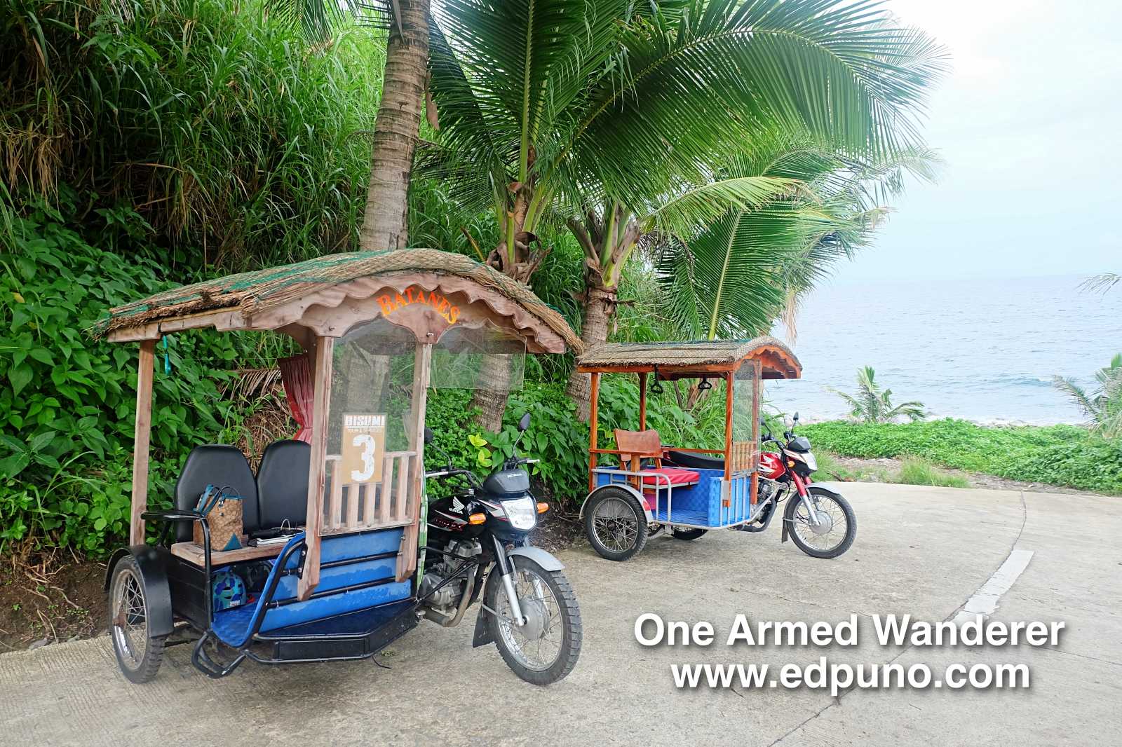 BISUMI Tricycle